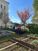 Image19 Image19